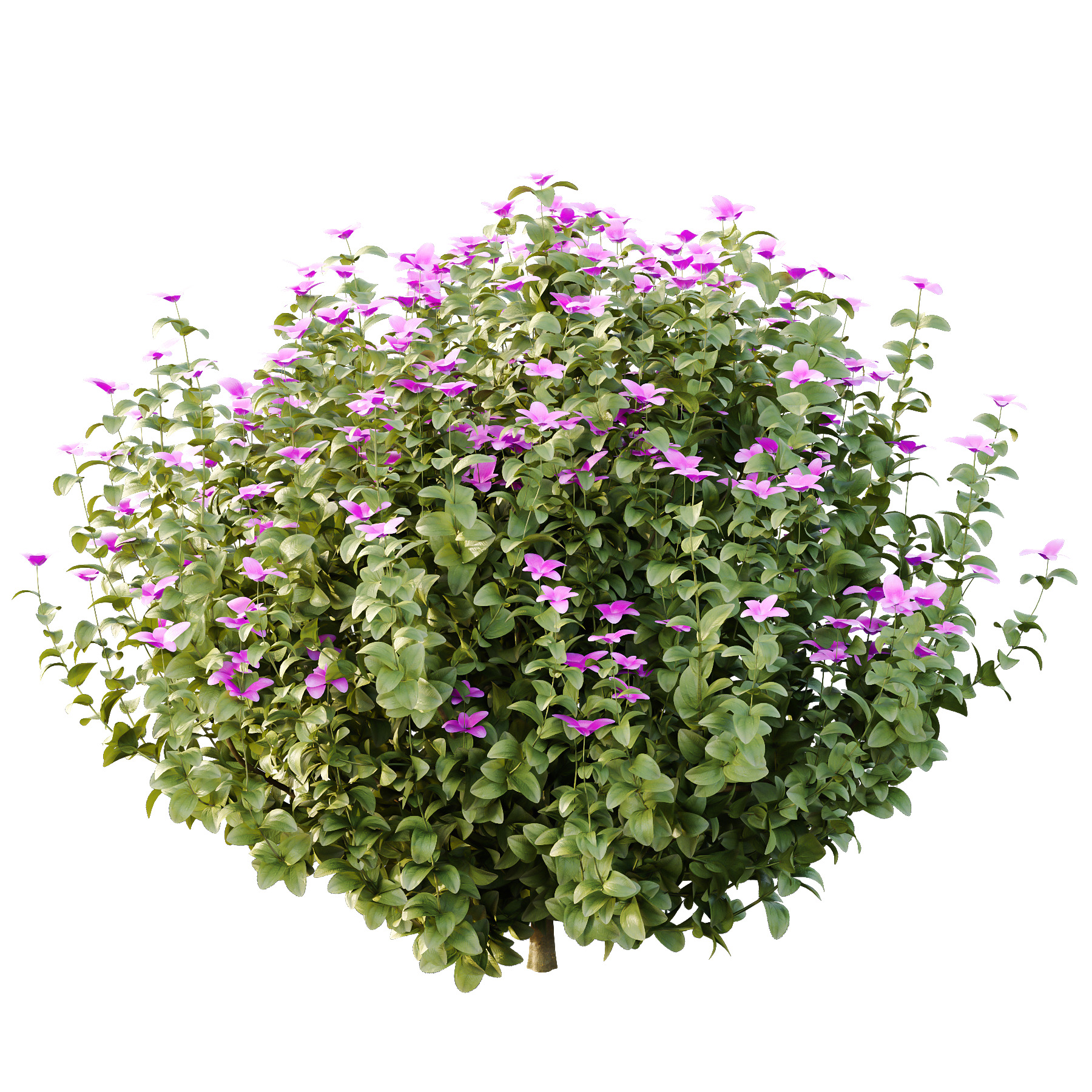 Different bush 18 3D model_2