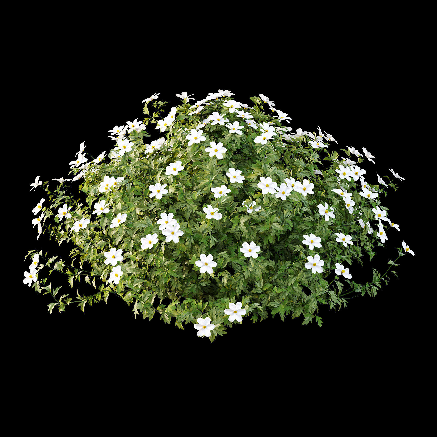 Different bush 18 3D model_3