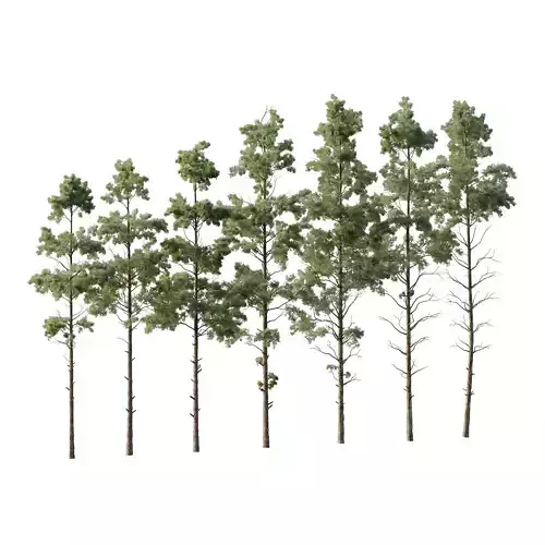 Pin Tree 002 3D model Pin Tree 002 3D model