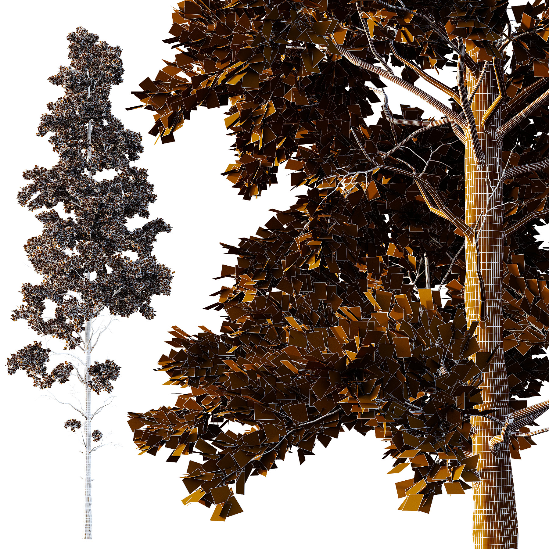 Pin Tree 002 3D model_5