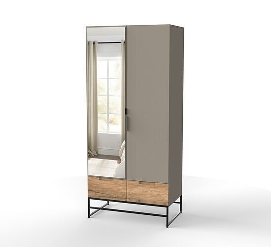 Modern Mirrored Wardrobe Armoire FlatPack 3D model