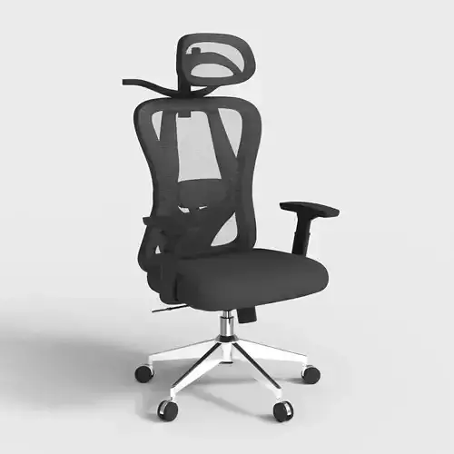 ERGONOMIC OFFICE CHAIR