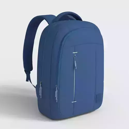 COOL CAPITAL LAPTOP BACKPACK