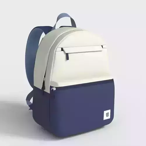 LAPTOP BACKPACK