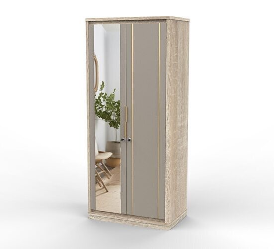 Modern Mirrored Wardrobe Armoire Closet FlatPack Free 3D model