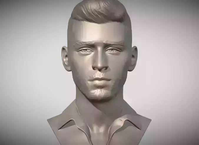 Zayn Malik bust 3D print model