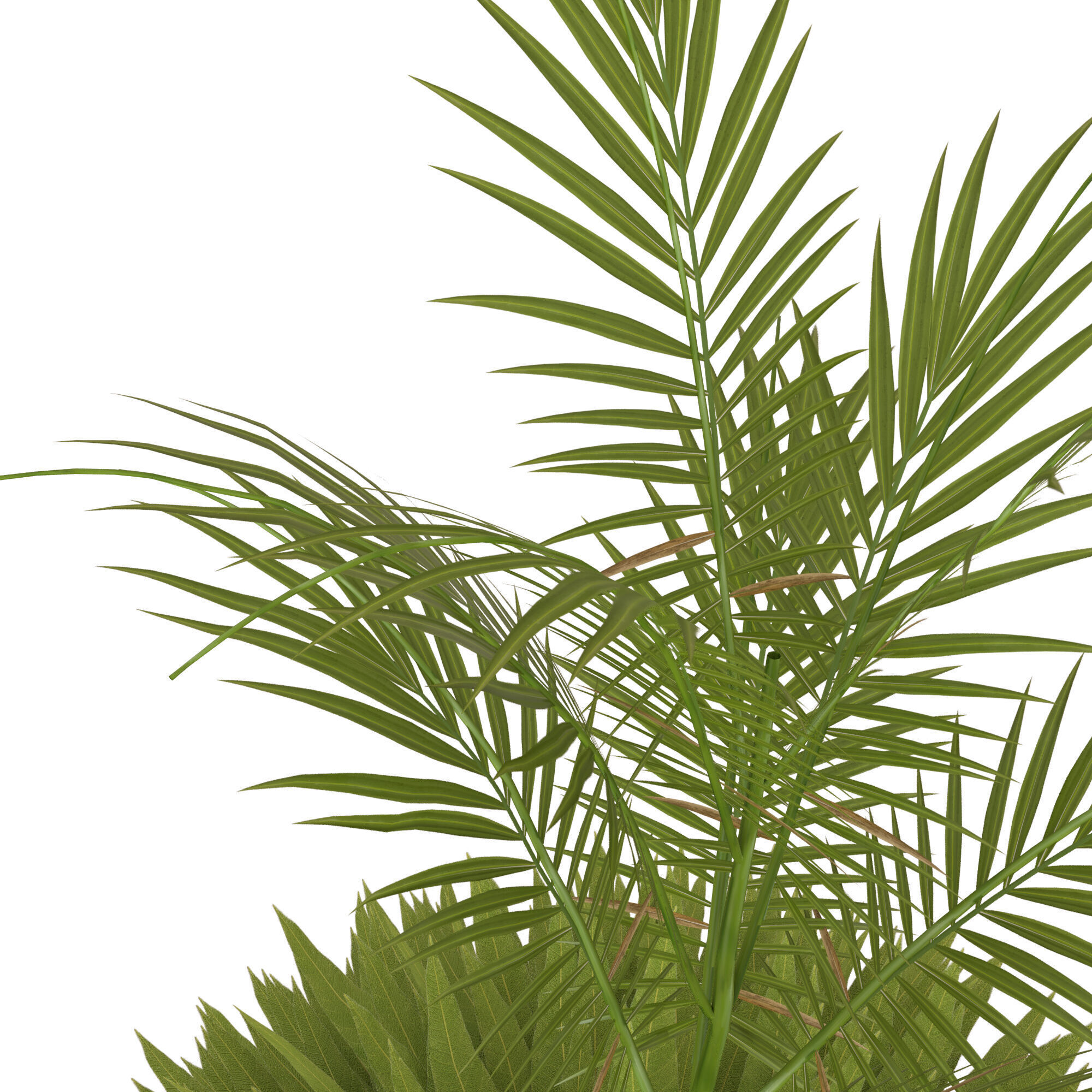 plant 3 3D model_1