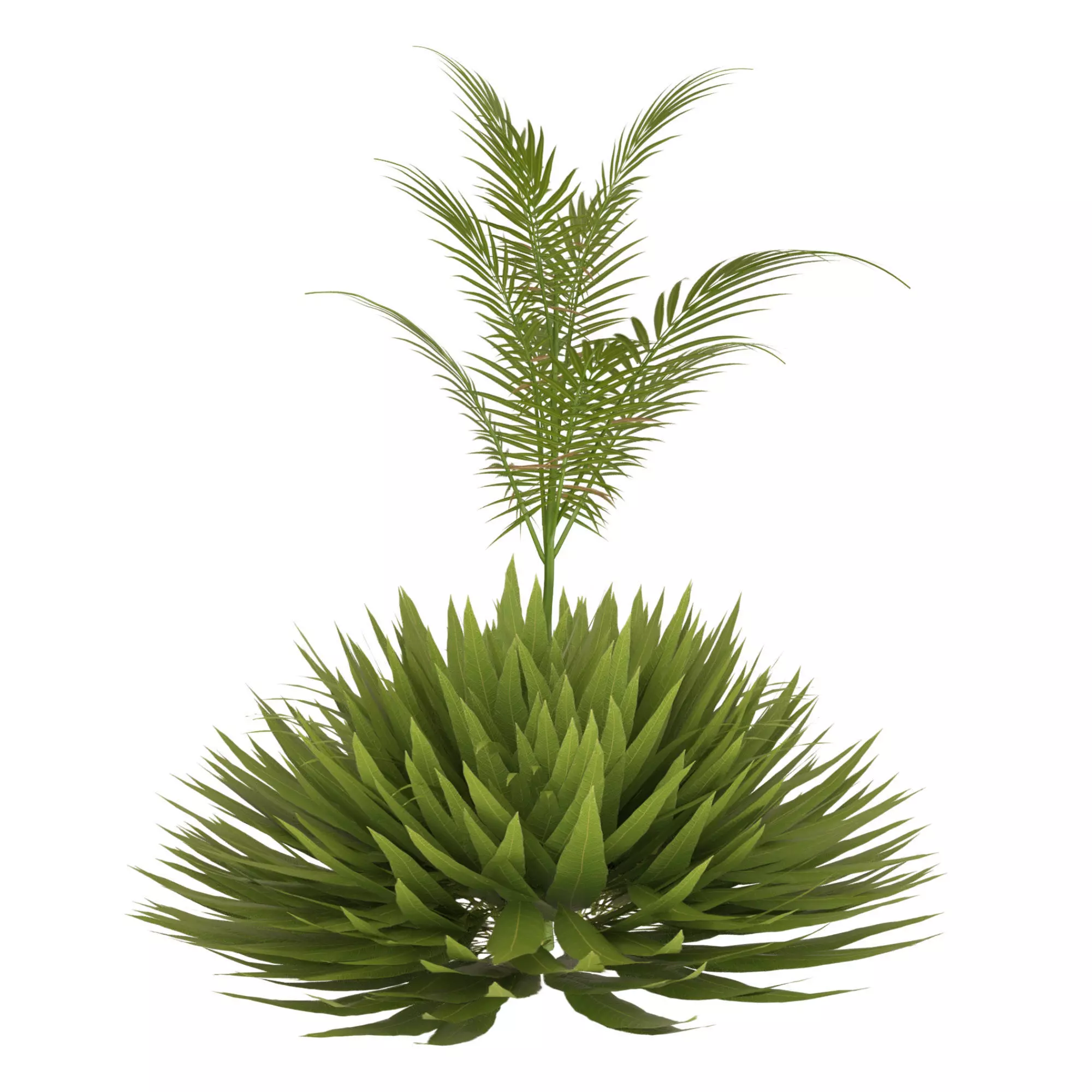 plant 3 3D model_0