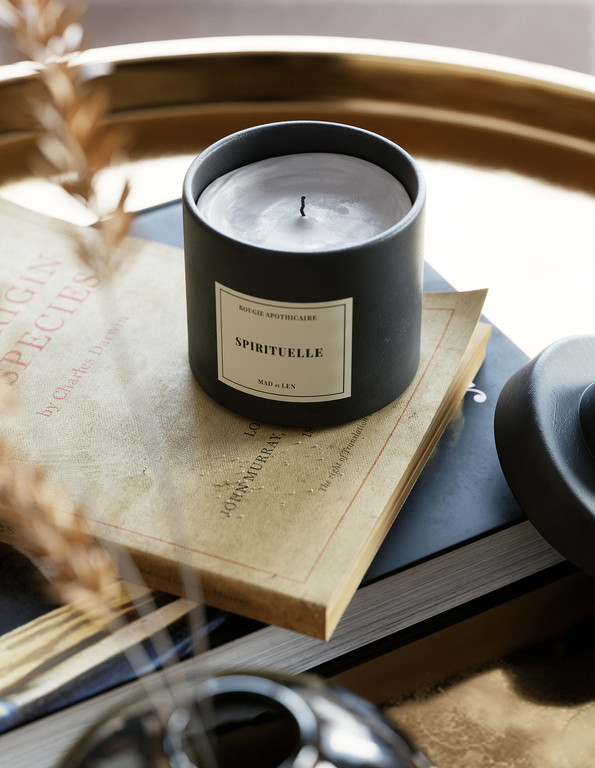 Cinema 4D and Corona Interiors Collection volume 4 _14