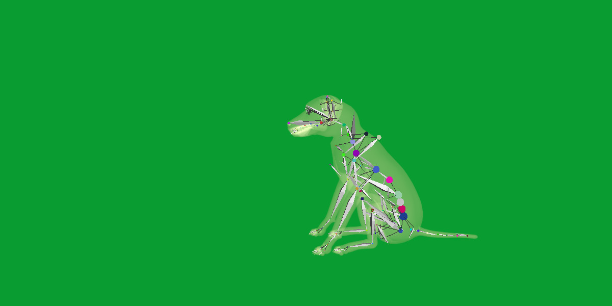 Afador Dog Low-poly 3D model_7