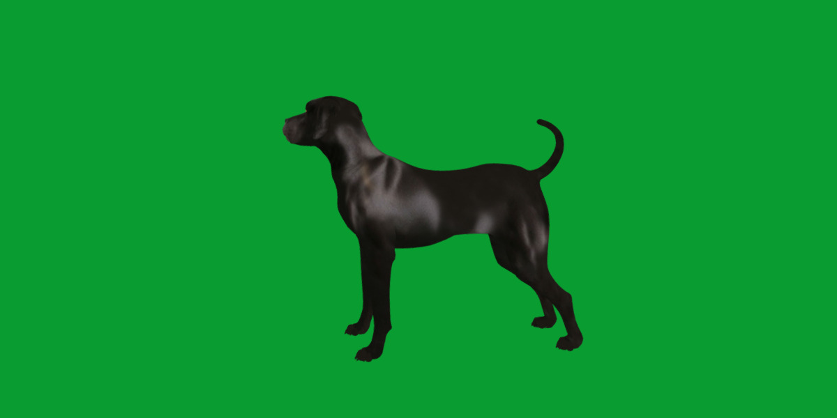 Afador Dog Low-poly 3D model_6
