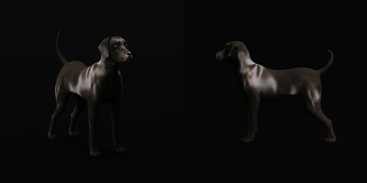 Afador Dog Low-poly 3D model_10