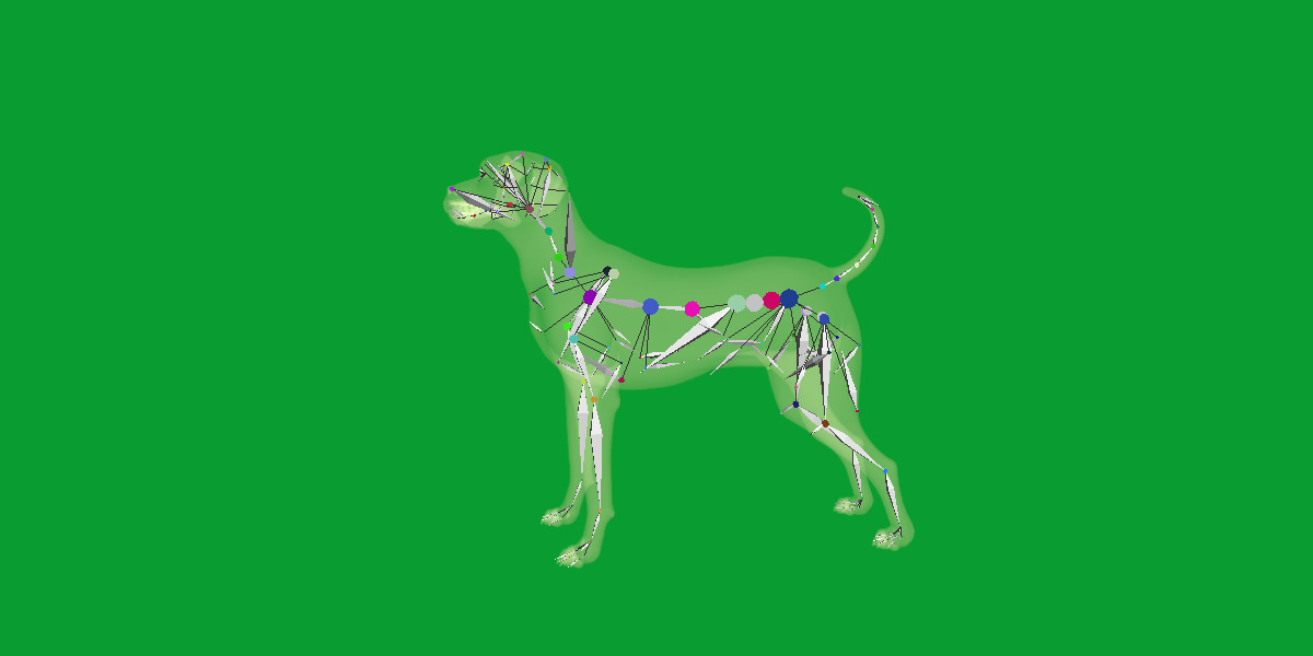 Afador Dog Low-poly 3D model_3