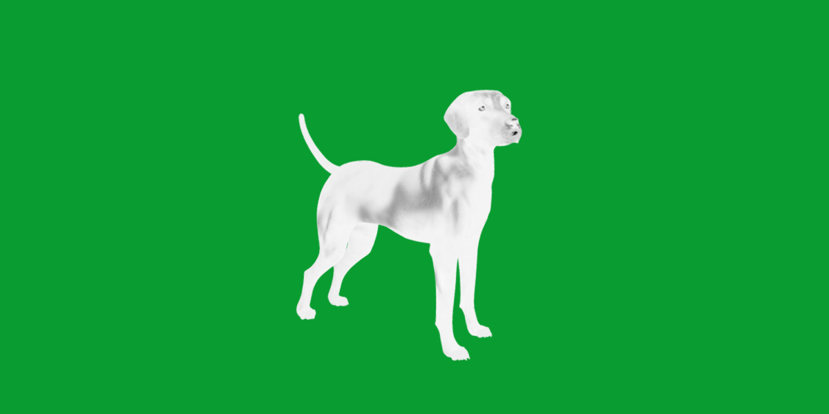 Afador Dog Low-poly 3D model_43