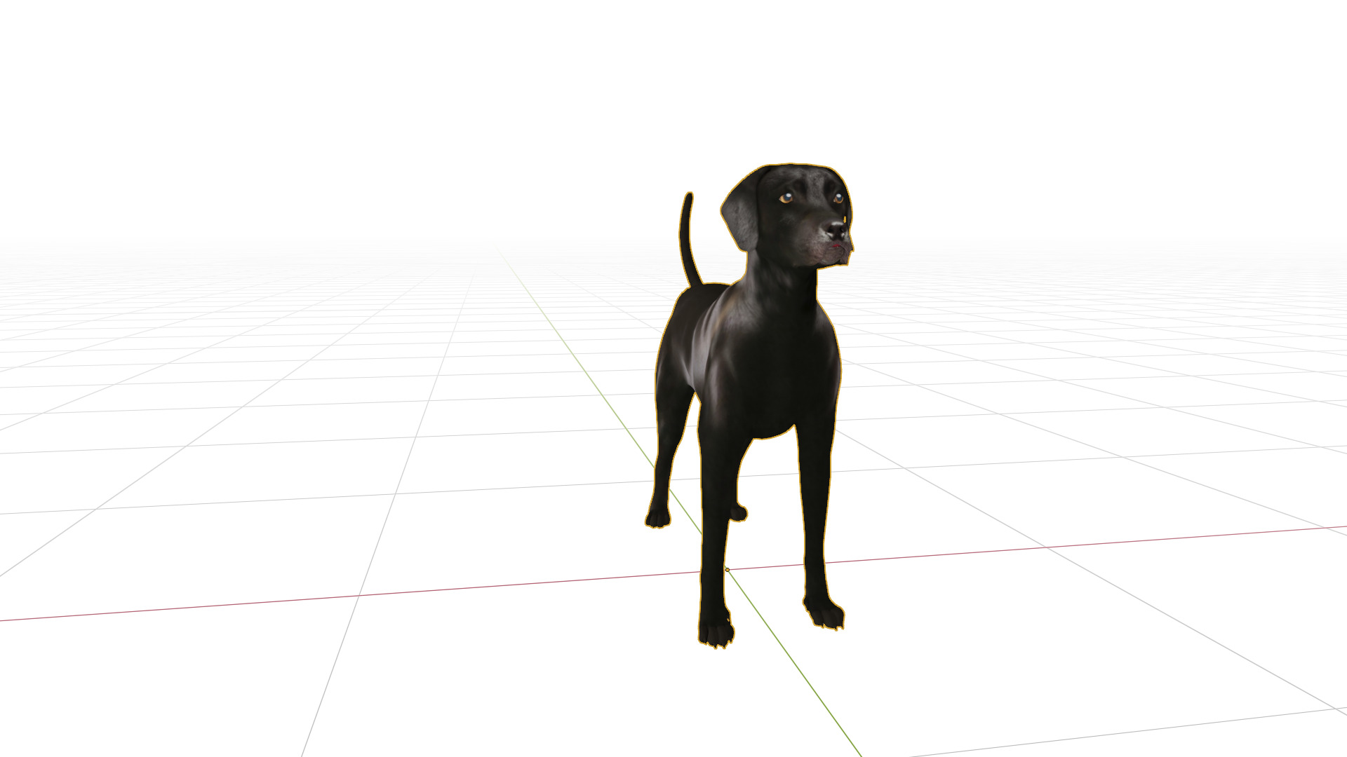 Afador Dog Low-poly 3D model_19