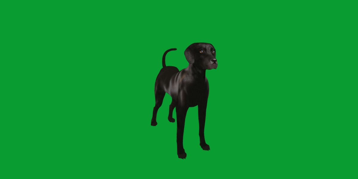 Afador Dog Low-poly 3D model_5