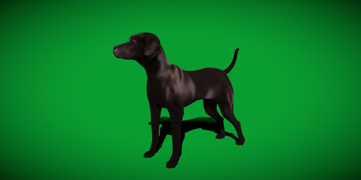 Afador Dog Low-poly 3D model_32