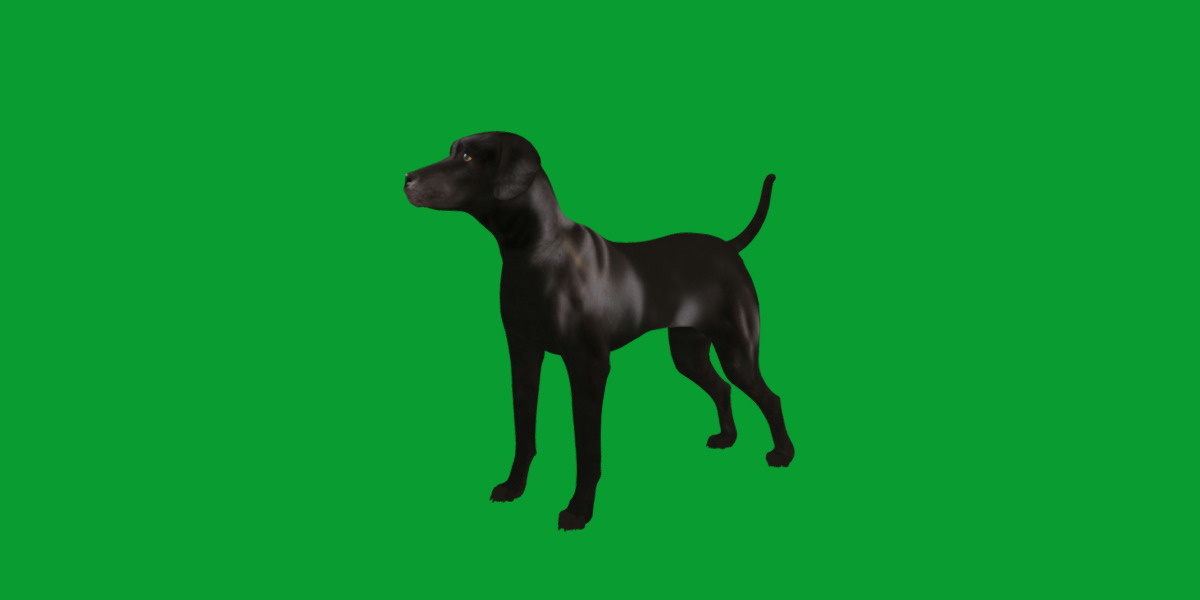 Afador Dog Low-poly 3D model_11