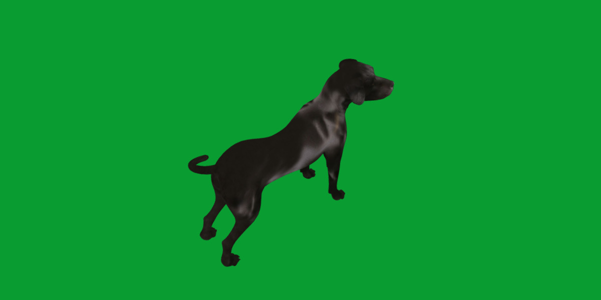 Afador Dog Low-poly 3D model_29