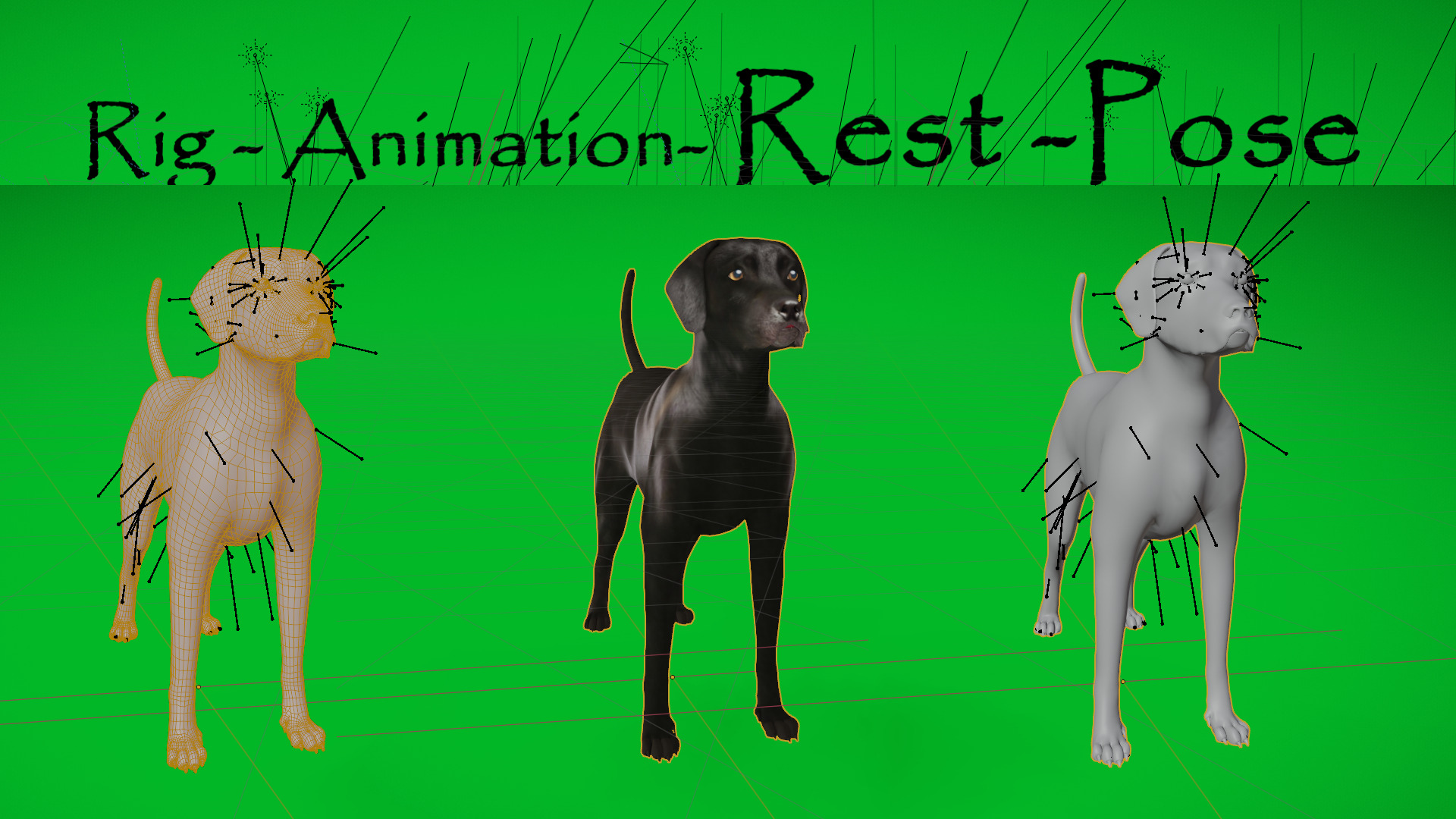 Afador Dog Low-poly 3D model_16