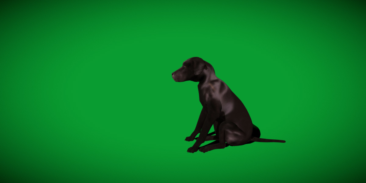 Afador Dog Low-poly 3D model_8