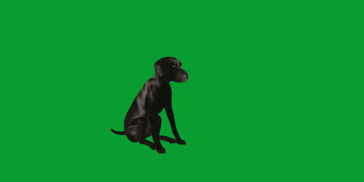 Afador Dog Low-poly 3D model_38