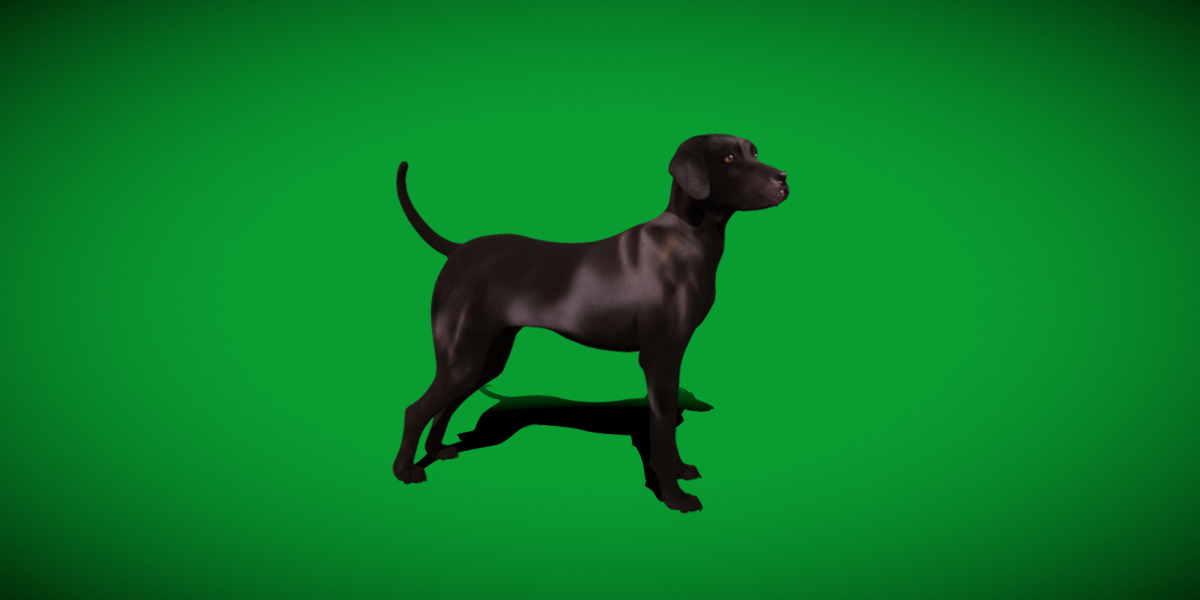 Afador Dog Low-poly 3D model_36