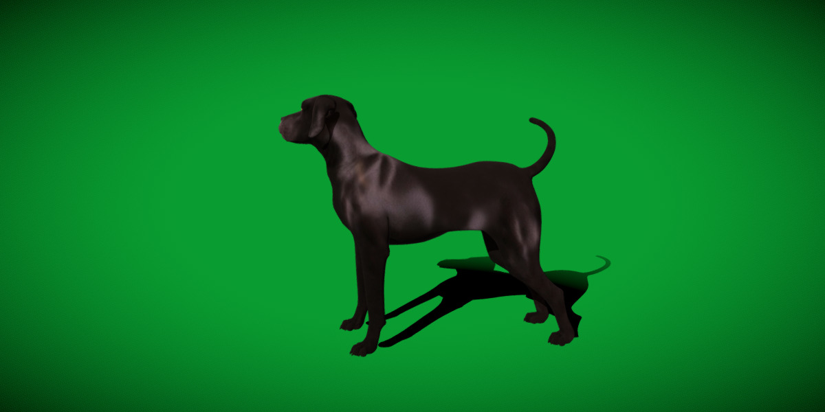 Afador Dog Low-poly 3D model_9