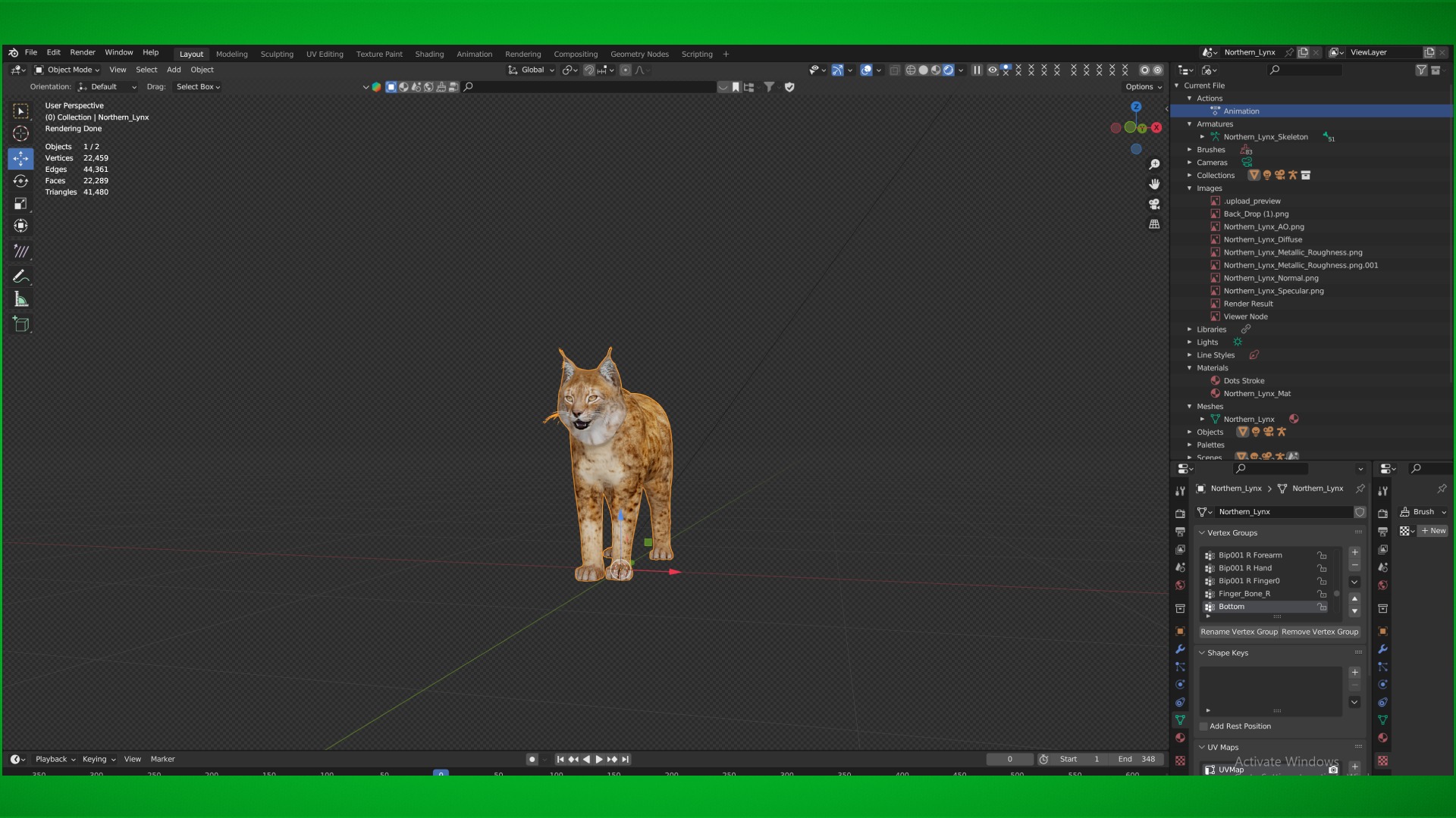 Lynx Wild Cats 3D Model Collection_20