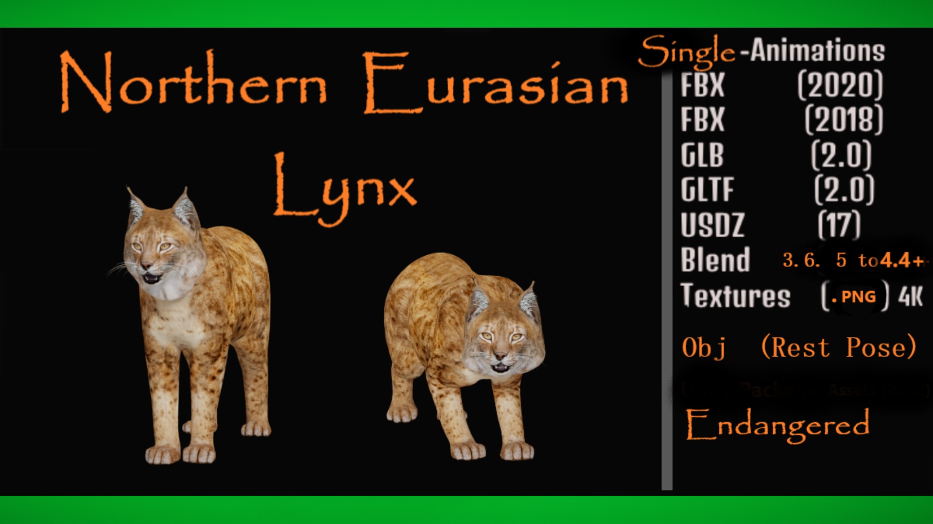 Lynx Wild Cats 3D Model Collection_15