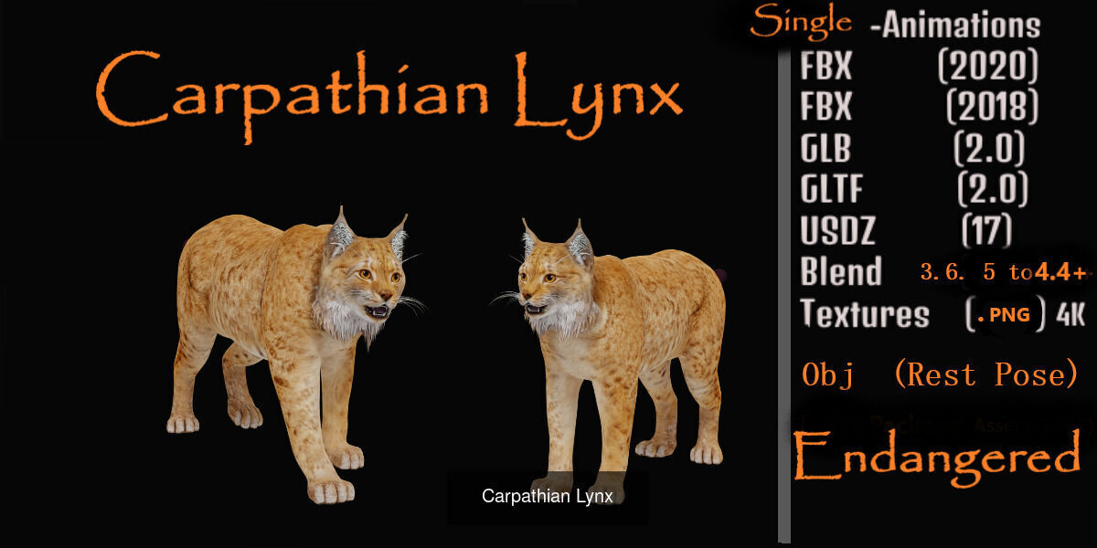 Lynx Wild Cats 3D Model Collection_14