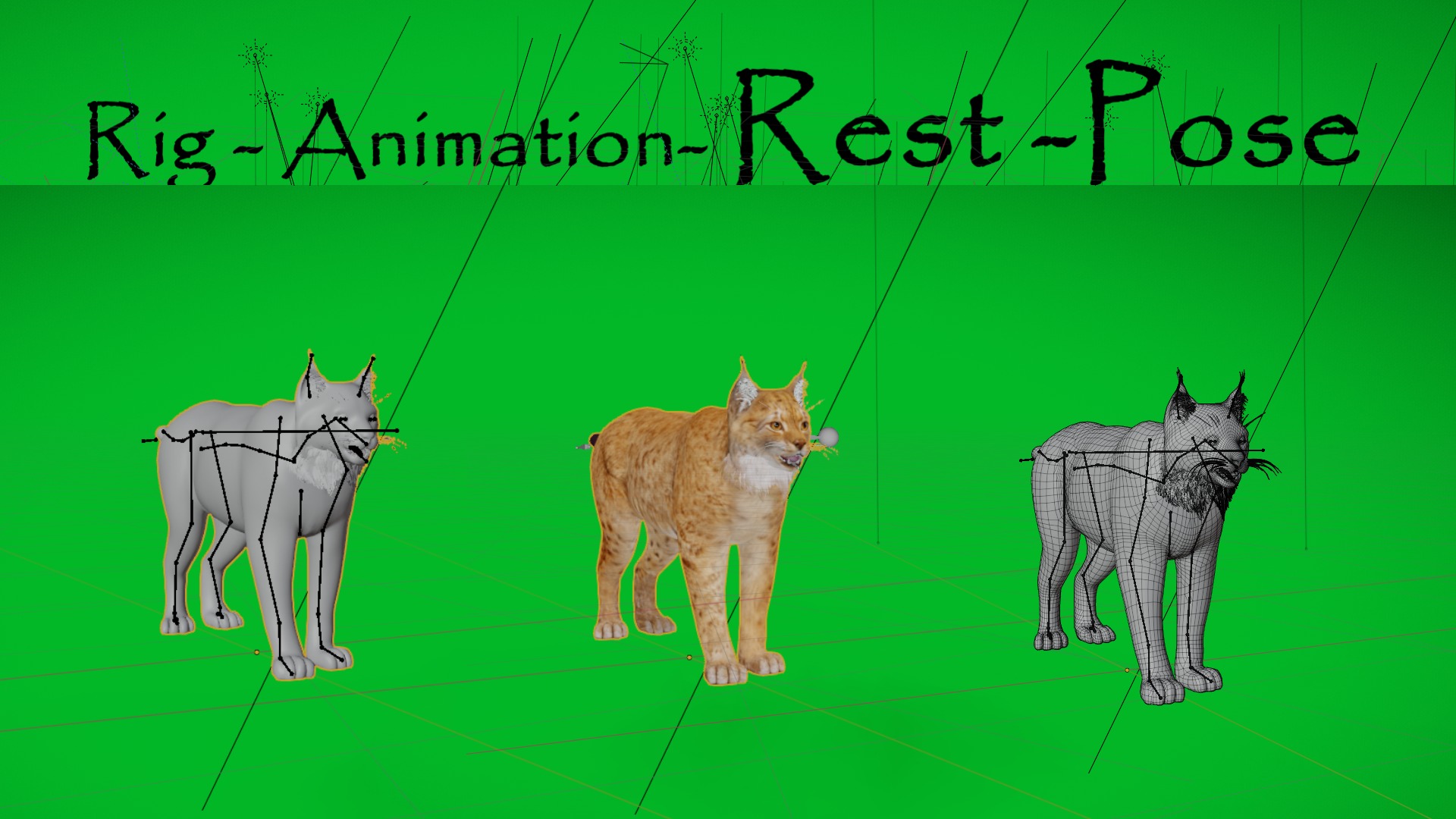 Lynx Wild Cats 3D Model Collection_27