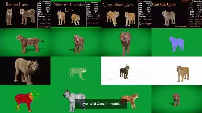 Lynx Wild Cats 3D Model Collection
