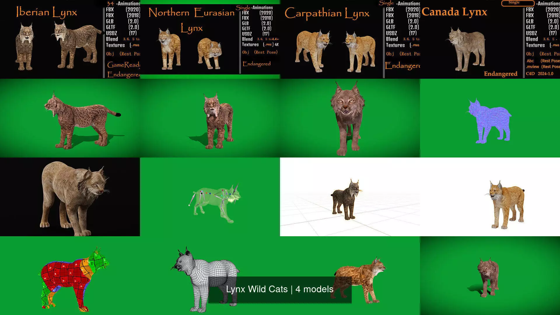 Lynx Wild Cats 3D Model Collection_0