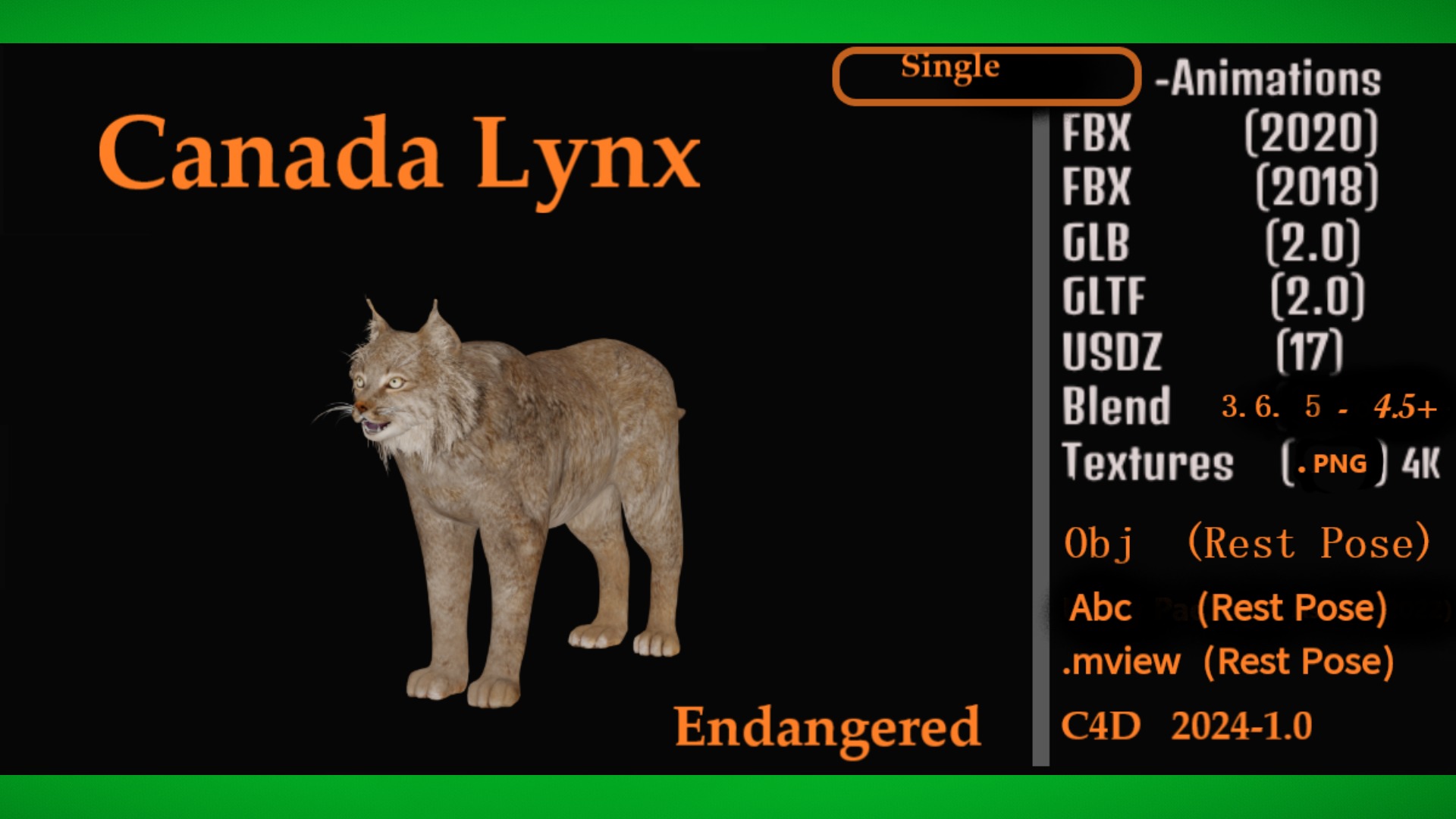 Lynx Wild Cats 3D Model Collection_11