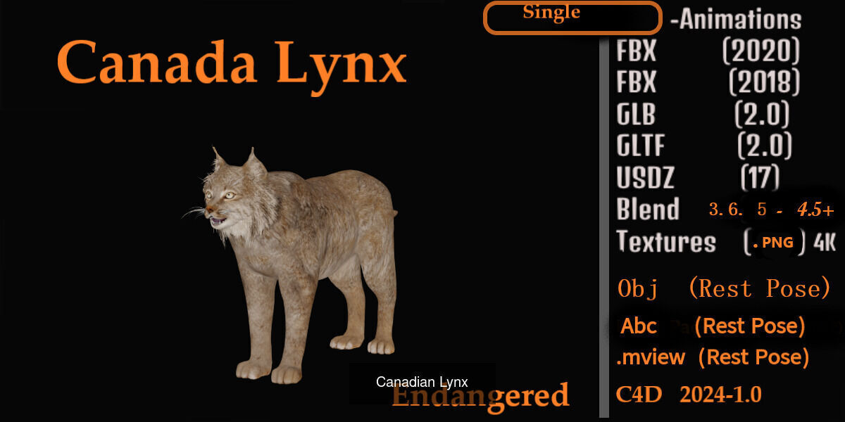 Lynx Wild Cats 3D Model Collection_16