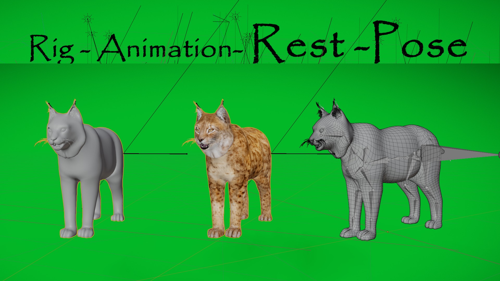 Lynx Wild Cats 3D Model Collection_26