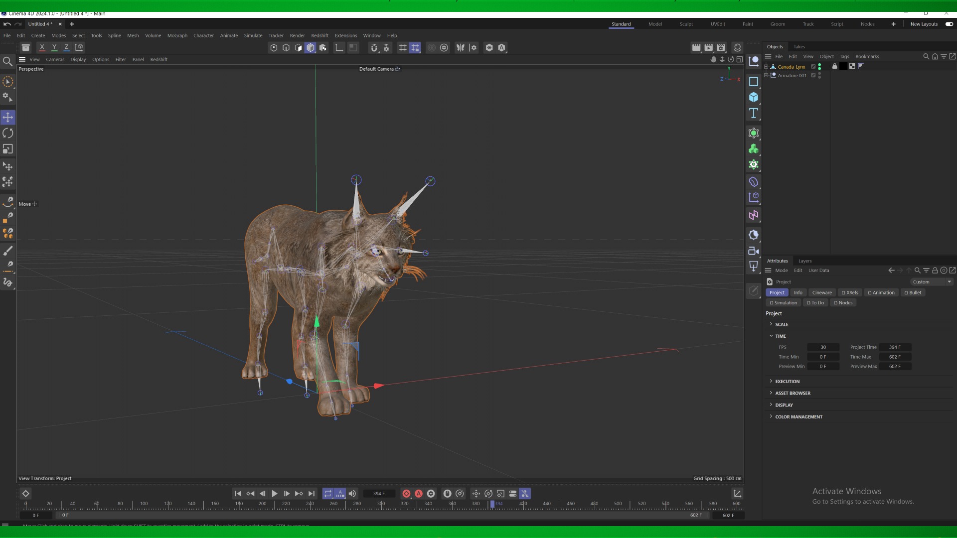 Lynx Wild Cats 3D Model Collection_33