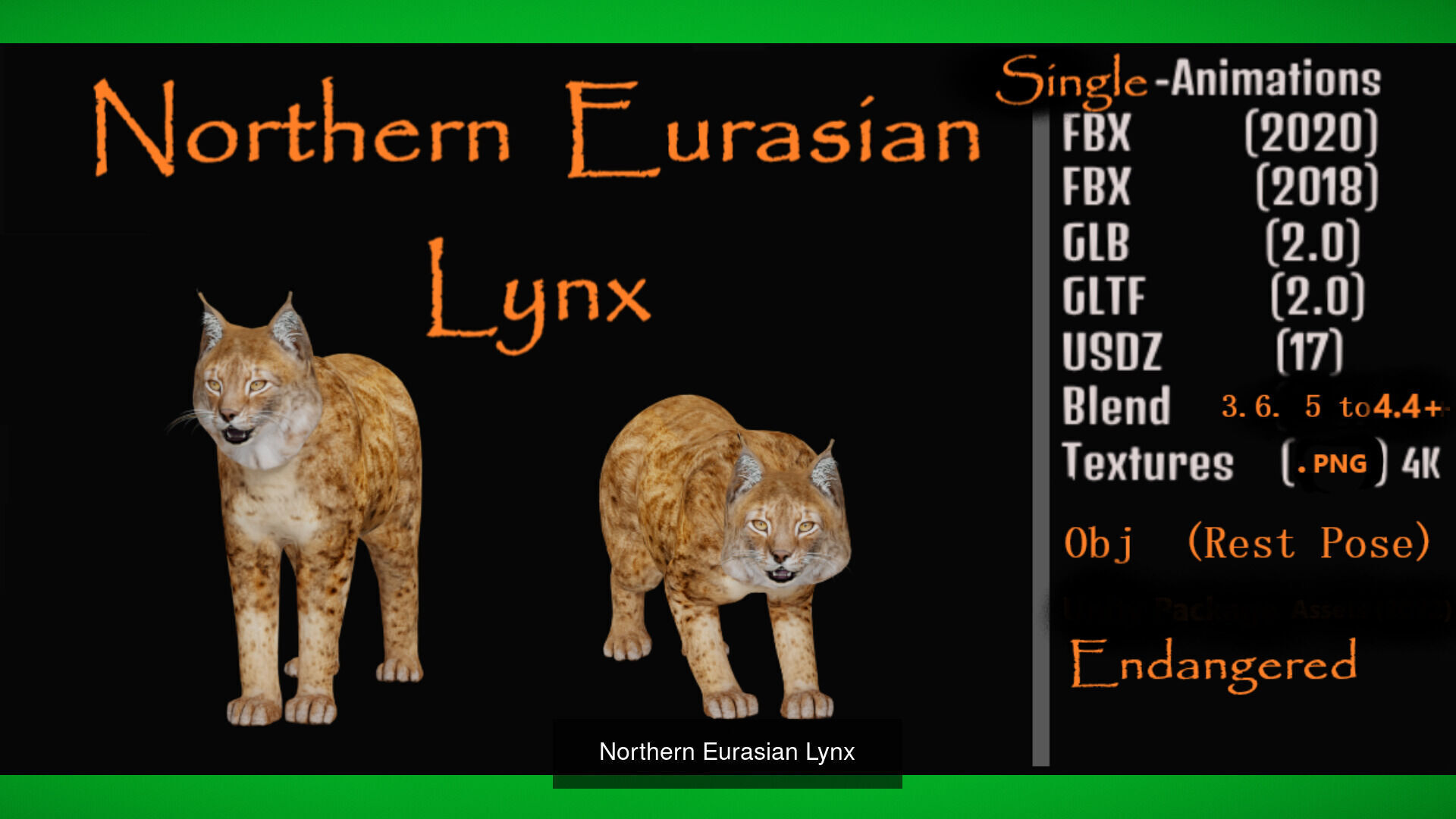 Lynx Wild Cats 3D Model Collection_12