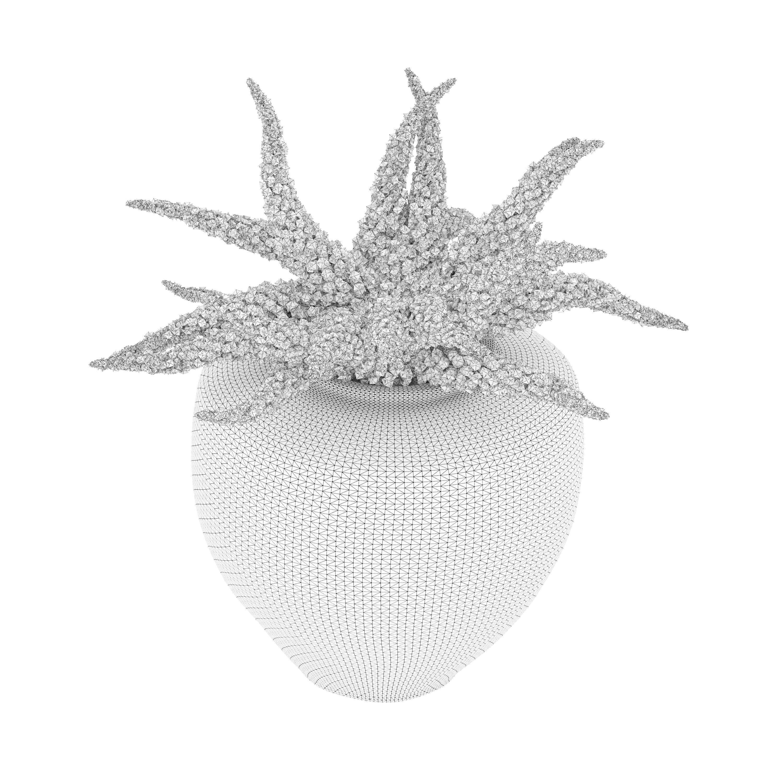 Foxtail fern in planter 3D model_4