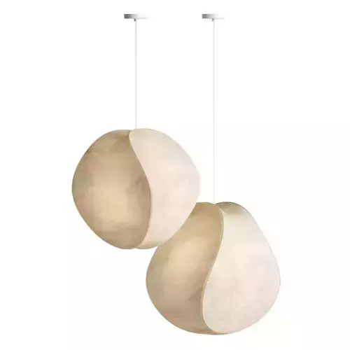 Equinox Pendant Lights 3D model