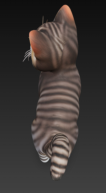 Optimized Low-Poly Kitten 3D Model UE5- Unity Real-Time Ready Low-poly 3D model_8