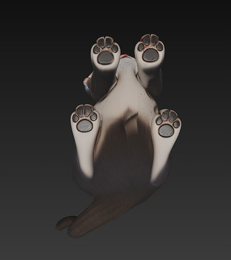 Optimized Low-Poly Kitten 3D Model UE5- Unity Real-Time Ready Low-poly 3D model_7