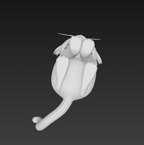 Optimized Low-Poly Kitten 3D Model UE5- Unity Real-Time Ready Low-poly 3D model_15