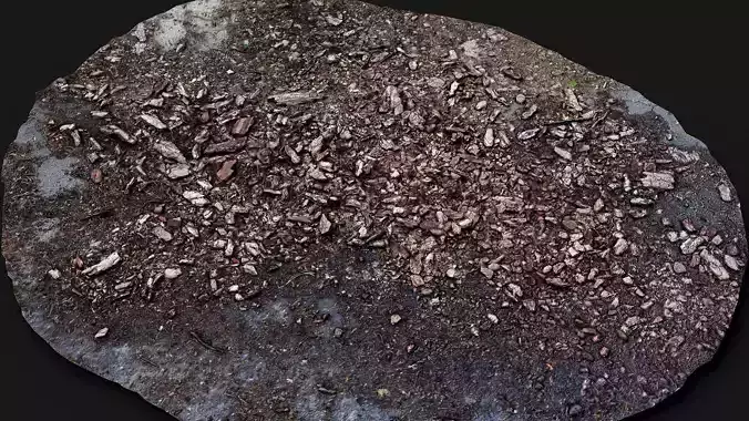 forest ground tree bark wooden debris PBR photogrammetry