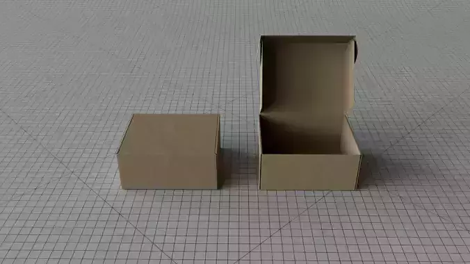 Packaging Lock Box Medium