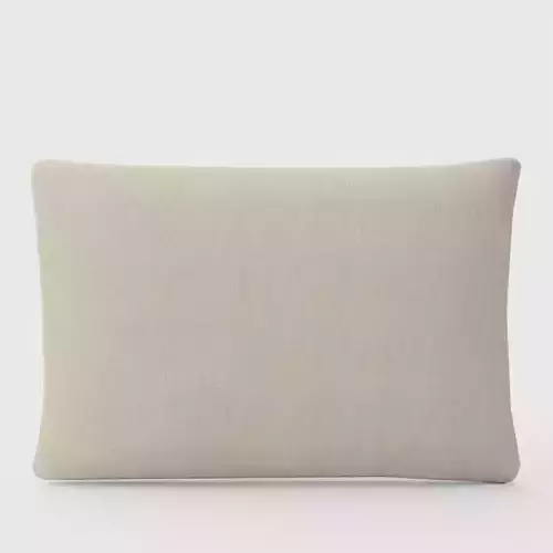 Performance Canvas Outdoor Pillow