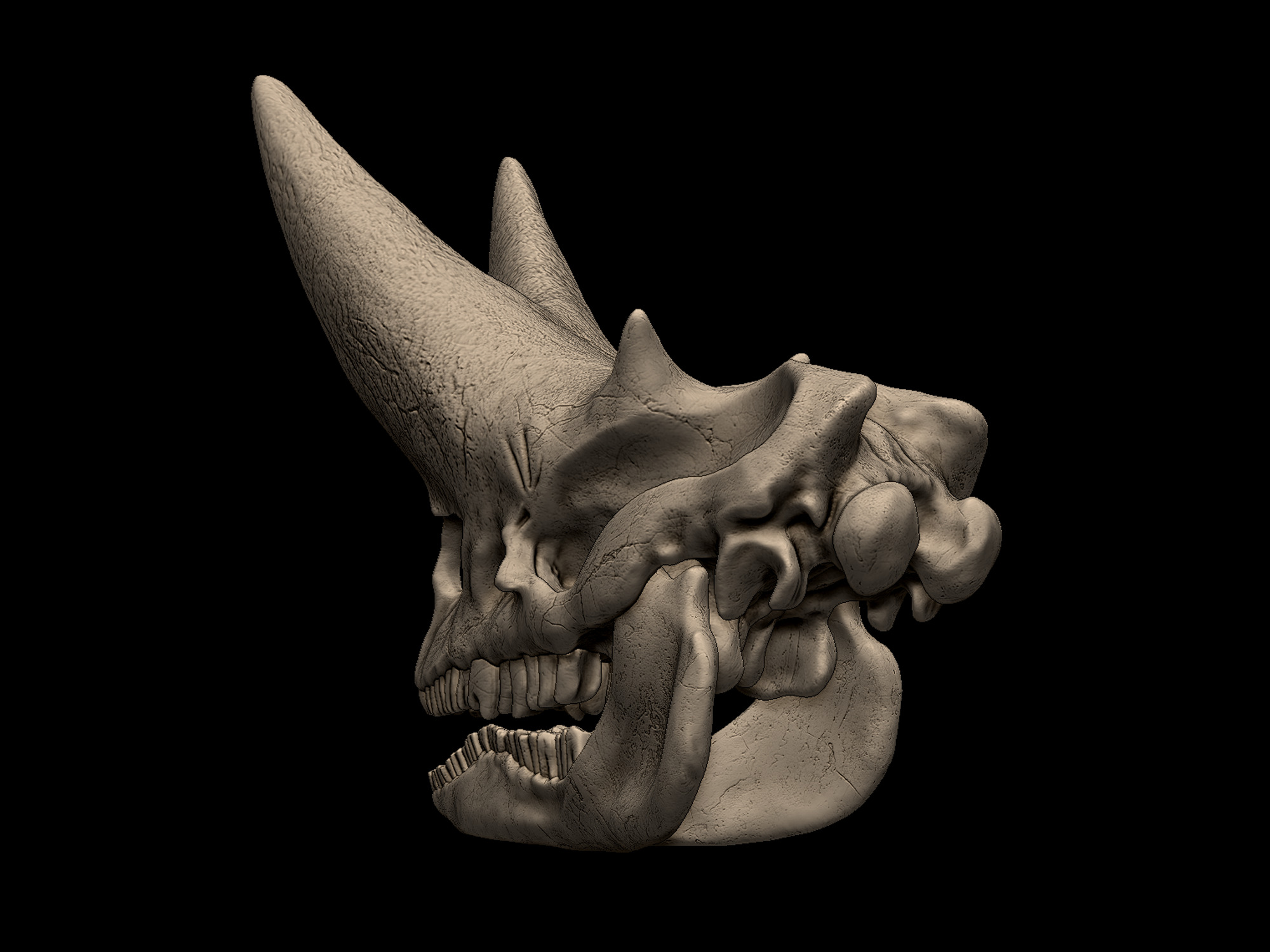 Arsinoitherium Skull 3D print model_3