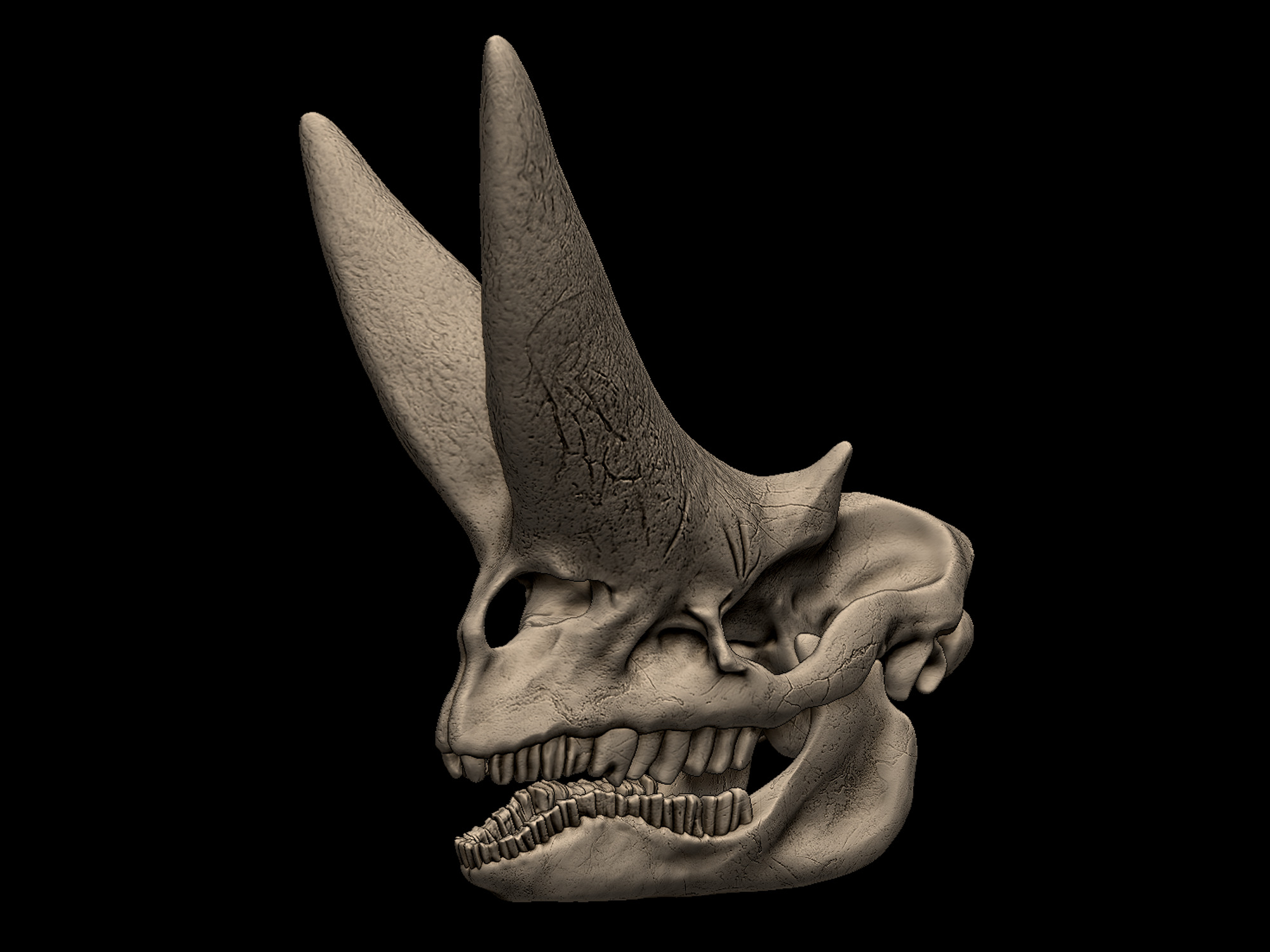 Arsinoitherium Skull 3D print model_2