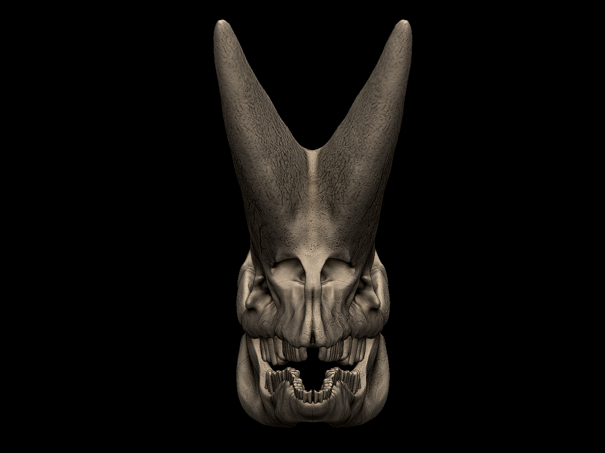 Arsinoitherium Skull 3D print model_1